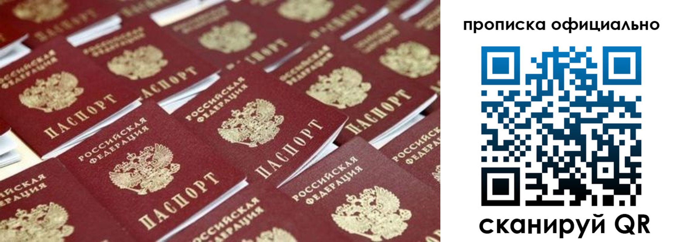 прописка гарантия в Пушкино